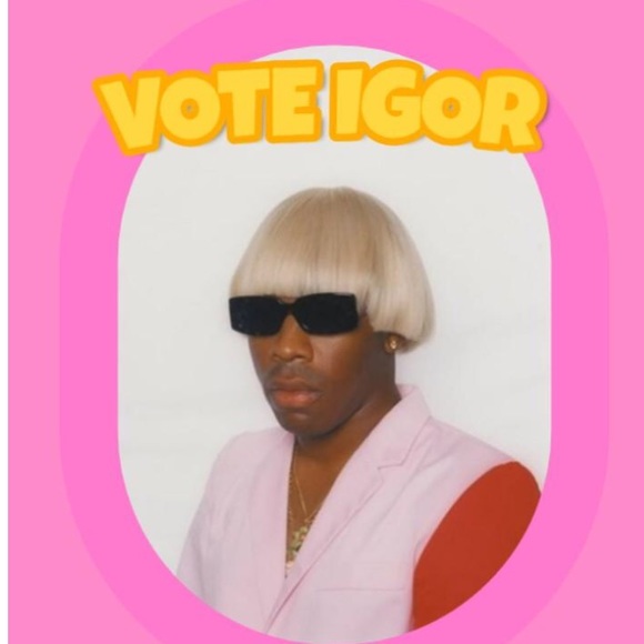 vote_igor